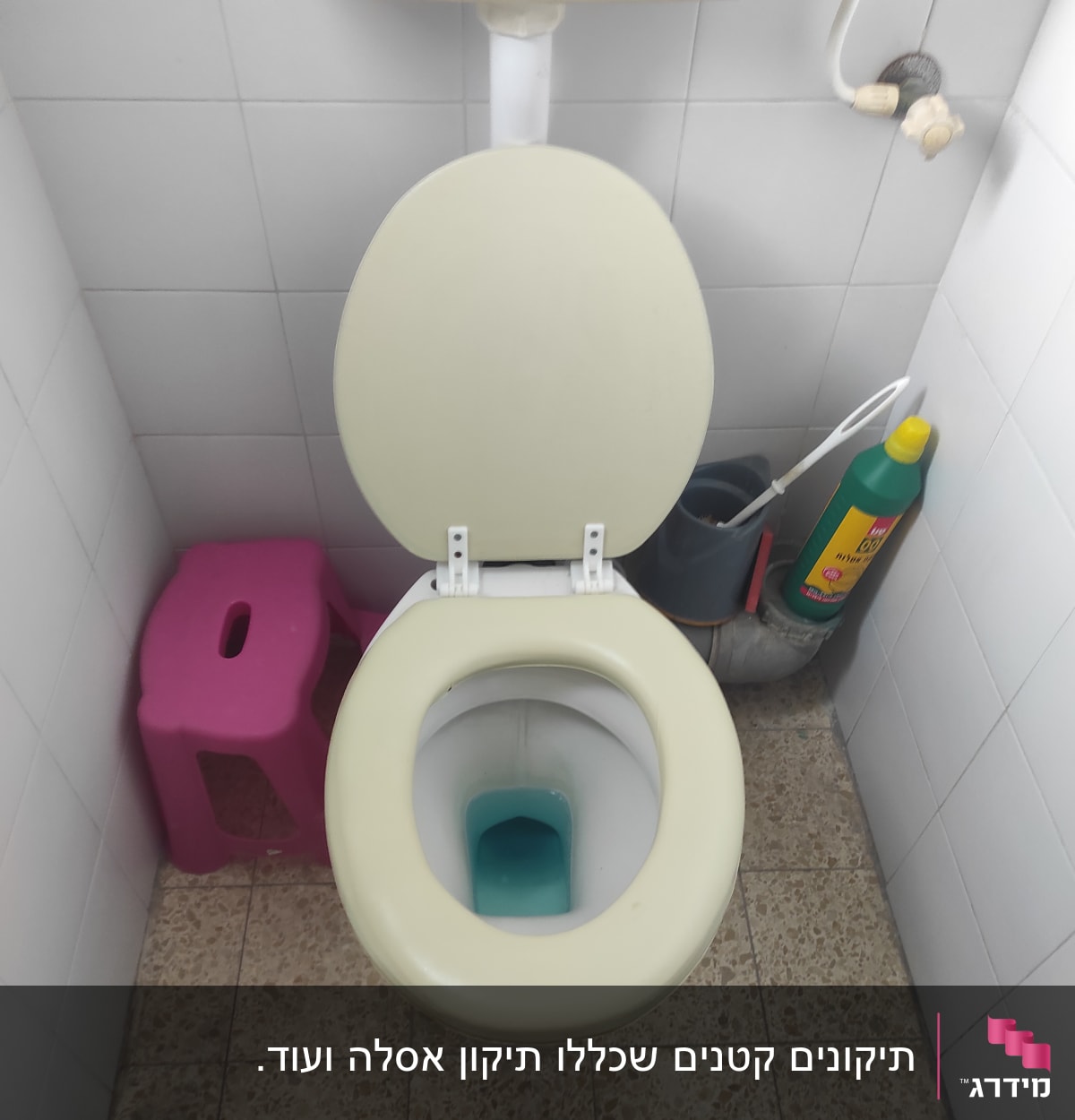 אסלה עם חומר ניקוי ומברשת שירותים